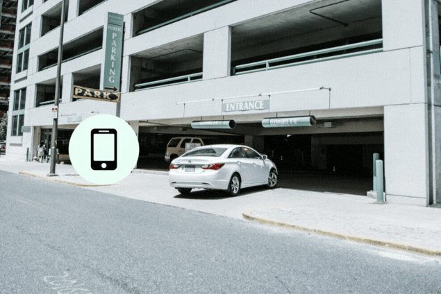 Naming Competition Banner Featured pic